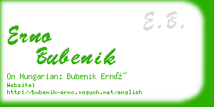 erno bubenik business card